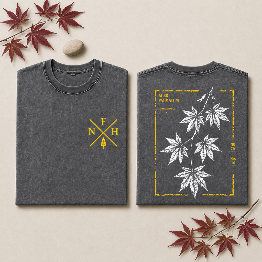 Two folded black graphic T-shirts displayed side by side on a light textured surface. The left shirt shows a large white fern leaf design with a gold rectangular border and text reading 'PTERIDIUM AQUELUM' and 'COLDWATER FERN'.