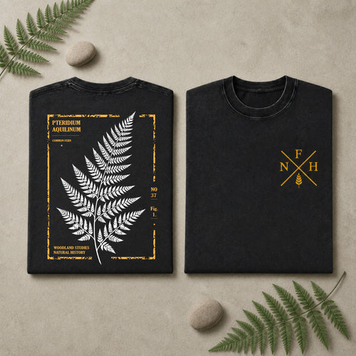 Two folded black T-shirts displayed side by side on a beige surface with decorative fern leaves and stones. The left shirt shows a large white fern leaf graphic framed by distressed yellow text and border details.